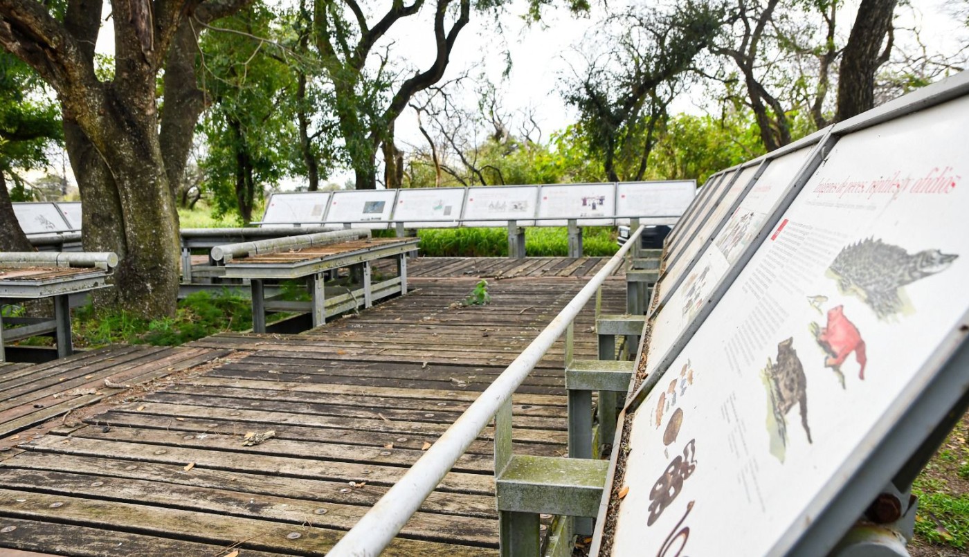Sumergirse en la biodiversidad del Parque Provincial Cayastá, novedosa propuesta para disfrutar del Invierno en Santa Fe | Información General
