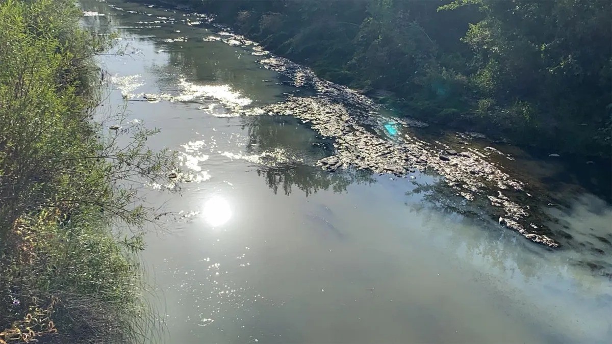 Advierten fallas en el control de los vertidos de camiones atmosféricos en el Ludueña | Rosario y la región