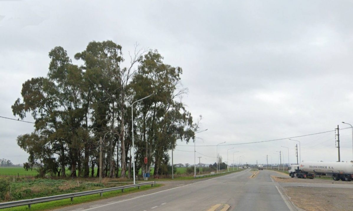 Encontraron un cadáver en un descampado en Ricardone e investigan si se trata de una mujer con pedido de paradero | Rosario y la región