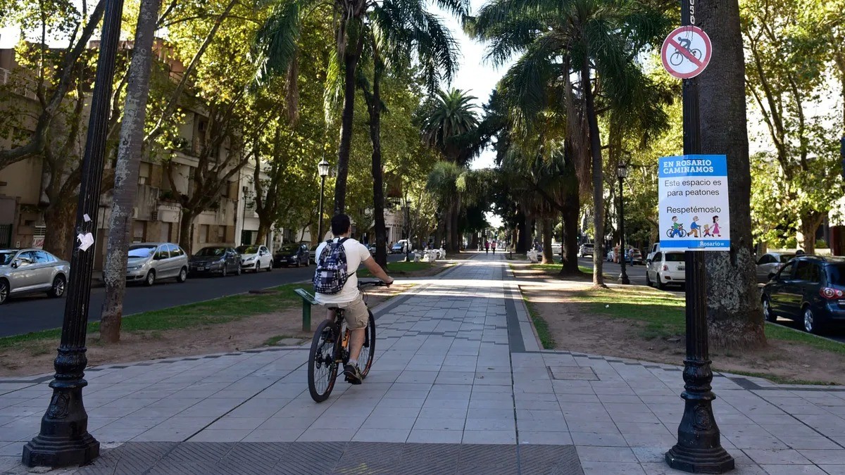 Fisherton: lo atacaron con un palo y le robaron la bici a plena luz del día | Rosario y la región