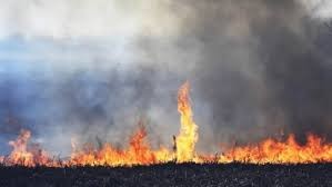 Manejo del fuego: Provincia acordó un plan de trabajo con autoridades locales | Información General