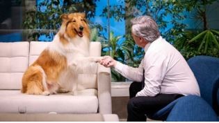 Milei le ofreció a Alberto Fernández adoptar a su perro Dylan | Política y Economía