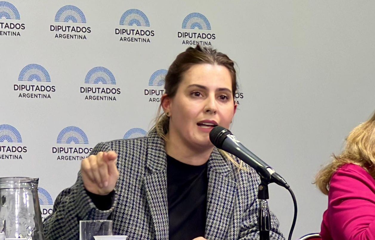 Lionella Cattalini mantuvo su postura en contra de Lijo en una audiencia pública | Rosario y la región