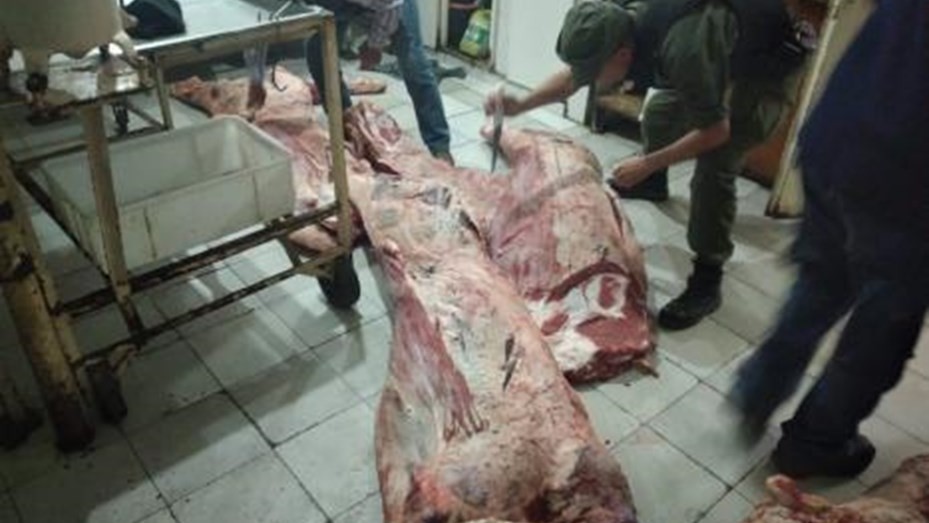 Los Pumas esclarecieron nueve casos de abigeato durante en septiembre | Rosario y la región