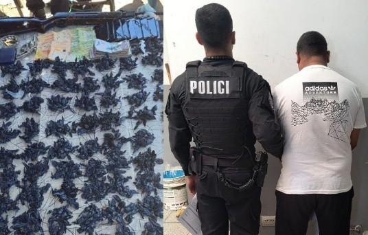 Detuvieron a un joven armado y con drogas en zona oeste: tenía pedido de captura hacía 2 años | Rosario y la región