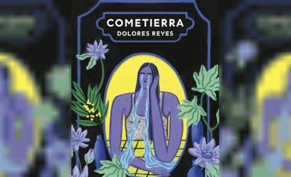 Especialistas en educación aseguran que "si los libros están mediados por un docente” no debería haber problemas en la lectura de contenido sexual | Información General