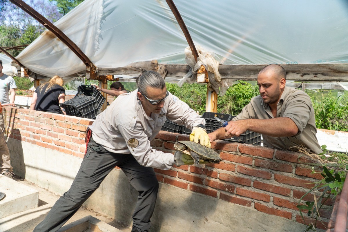 Nuevas especies llegaron a Santa Fe para ser reinsertados en sus hábitats | Rosario y la región