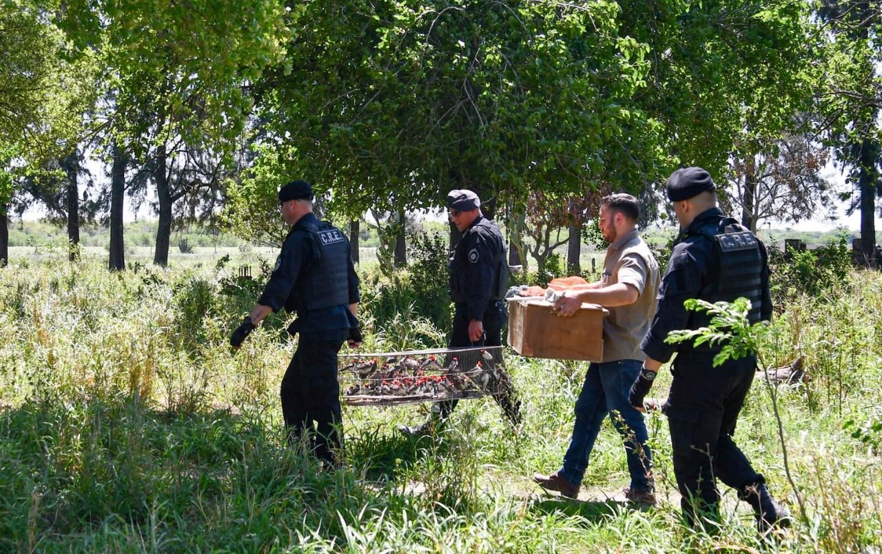 Santa Fe endurece las multas contra la caza y el comercio ilegal de fauna silvestre | Rosario y la región