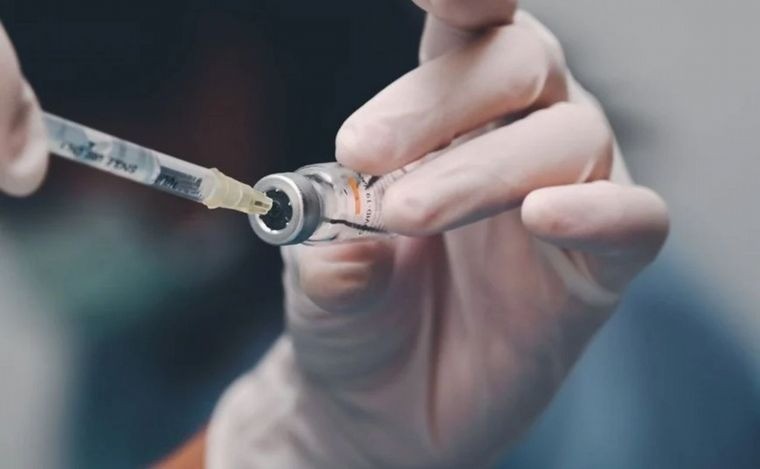 Rosario: las farmacias esperan que las vacunas contra el dengue lleguen en enero | Rosario y la región