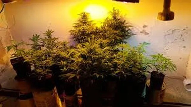 Desbarataron el “búnker del centro” de Rosario | Rosario y la región