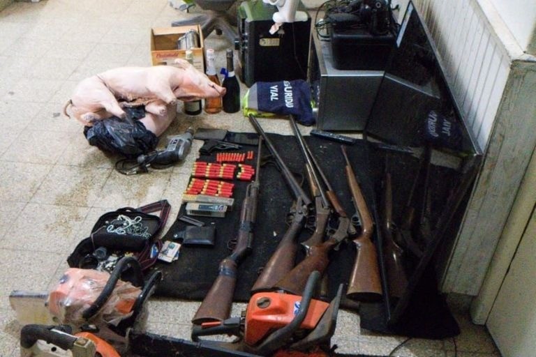 Autopista Rosario-Córdoba: tres detenidos por secuestro de armas y un lechón | Rosario y la región