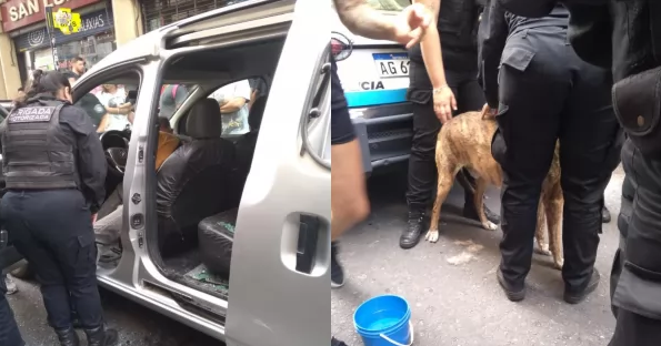 Rescatan a un perro encerrado en pleno centro de Rosario | Rosario y la región