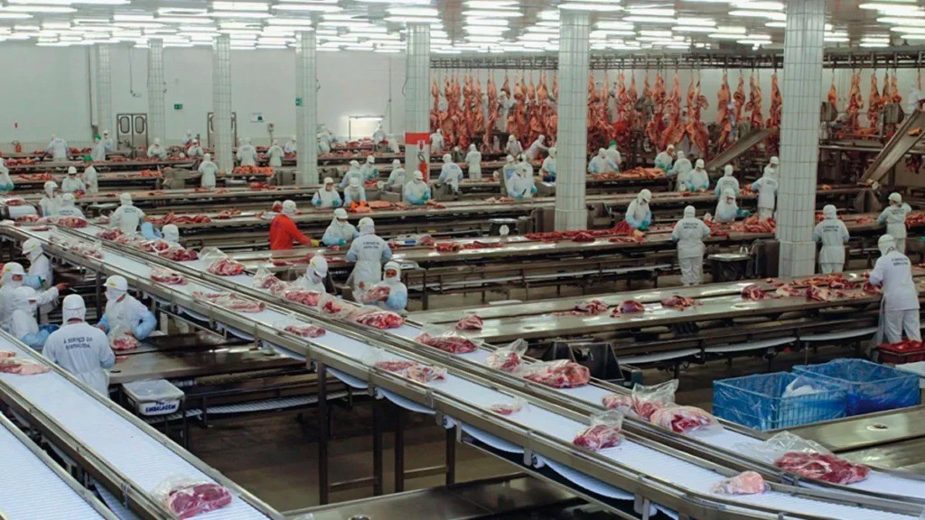 Reincorporaron a 200 trabajadores despedidos de la empresa frigorífica de Villa Gobernador Gálvez | Rosario y la región