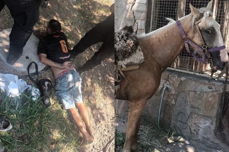 Detuvieron a un hombre a caballo y le secuestraron una pistola | Rosario y la región