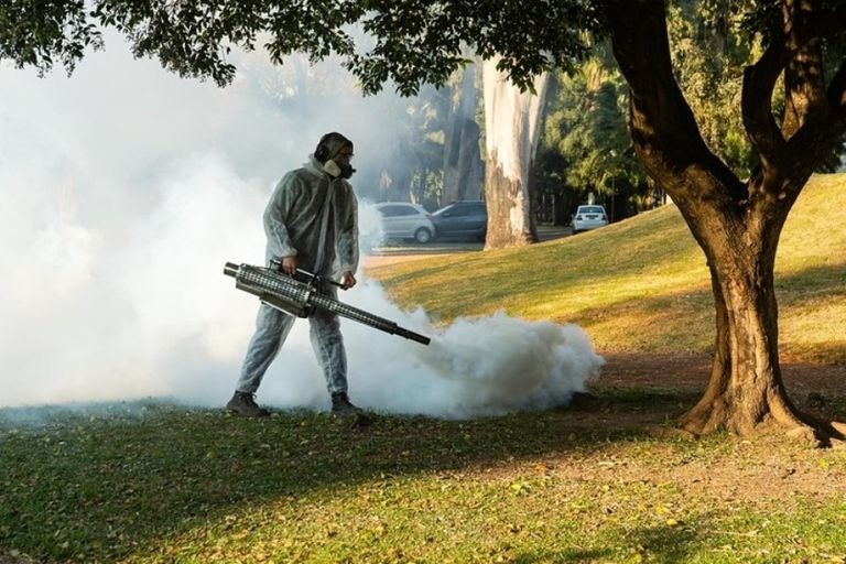 Fumigarán 66 espacios verdes para controlar la plaga de mosquitos | Rosario y la región