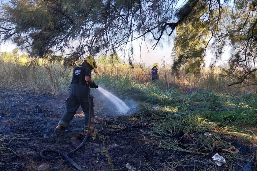 Nuevo incendio en el Bosque de los Constituyentes | Rosario y la región