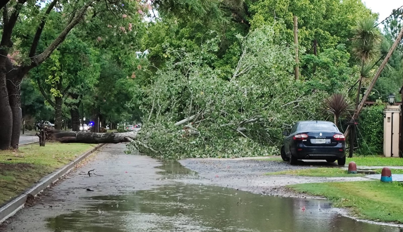 Alerta naranja: nuevas tormentas en camino y alta peligrosidad | Rosario y la región