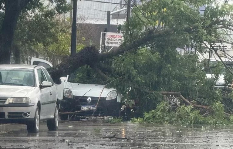 La Municipalidad y la provincia continúan con los trabajos en conjunto por los destrozos de la tormenta | Rosario y la región