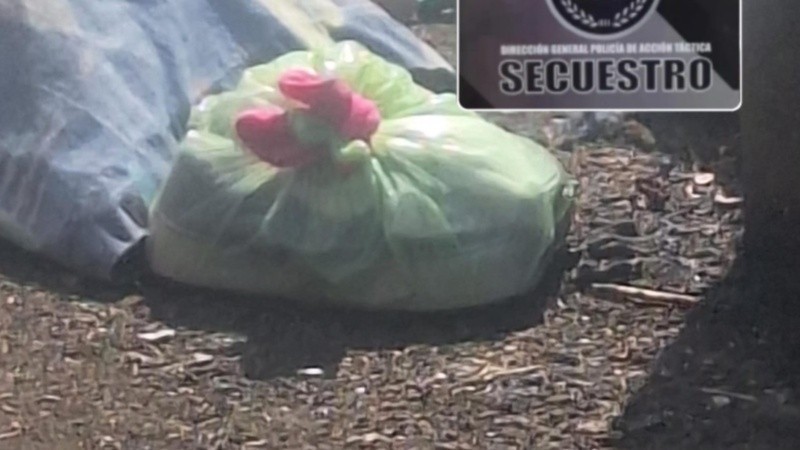 Dos detenidos por tirar una bolsa con zapatillas y un teléfono a la cárcel de mujeres | Rosario y la región