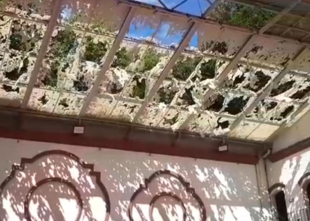 El granizo destruyó el techo del patio del Colegio San Ramón | Rosario y la región