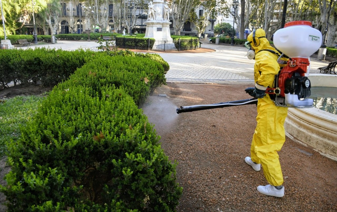 Rosario sigue siendo el epicentro del dengue, pero con una disminución drástica de casos | Rosario y la región
