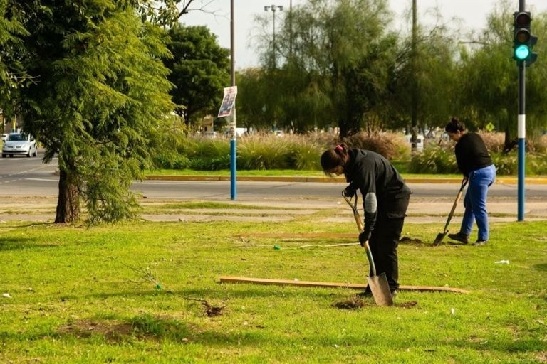 Convocan a 100 voluntarios para plantar árboles en el Parque Italia | Rosario y la región