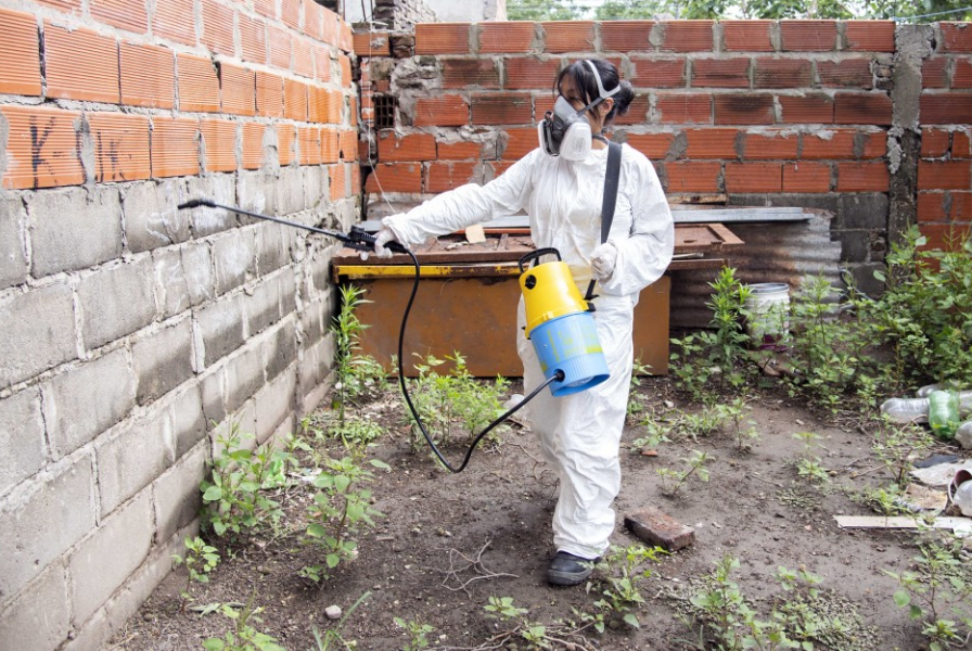 Rosario reporta 79 nuevos casos de dengue | Rosario y la región