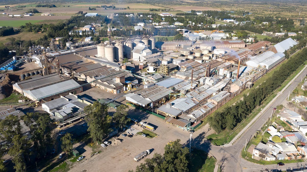 Cerealera en crisis: cierre y sueldos impagos | Rosario y la región