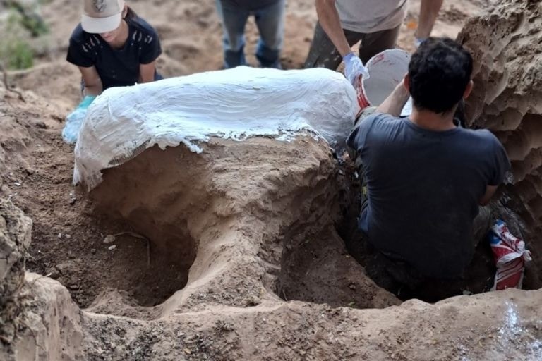 La provincia anunció un importante hallazgo paleontológico en la región | Rosario y la región