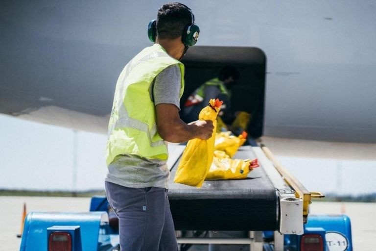 La provincia oficializó las exportaciones desde el Aeropuerto Internacional de Rosario | Rosario y la región