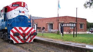 Mueren varios perros en Las Rosas: posible enfermedad zoonótica en investigación | Rosario y la región