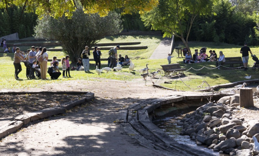 La Granja de la Infancia celebra 26 años con actividades ecológicas y un festival folclórico | Rosario y la región