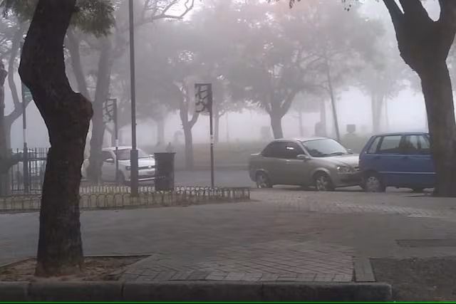 Tiempo en Rosario: niebla densa, frío matinal y sol hacia el mediodía | Rosario y la región