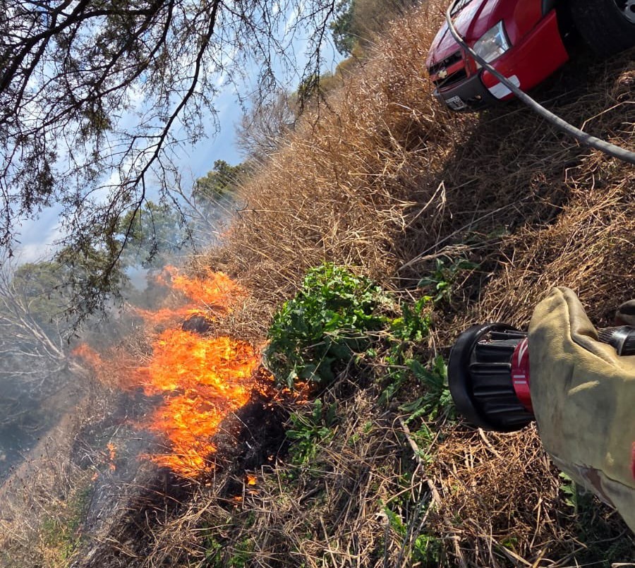 Incendio en el Bosque de los Constituyentes: Bomberos trabajan en la zona | Rosario y la región