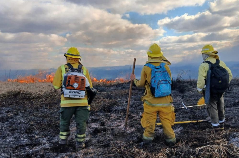 Santa Fe, Buenos Aires y Entre Ríos unidos para combatir incendios en el delta del Paraná | Rosario y la región