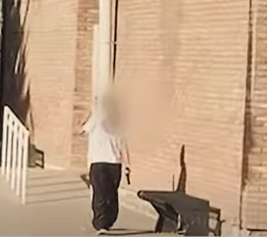 ¿Qué dicen los especialistas sobre el caso de la nena armada en Mendoza? | Rosario y la región