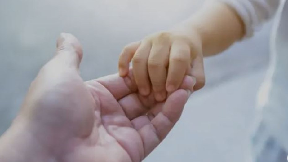 Sube el monto del pago único por adopción | Política y Economía