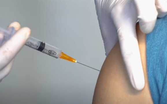 Fiebre amarilla: el país mantiene una situación estable pero refuerza la vacunación en zonas de riesgo | Rosario y la región