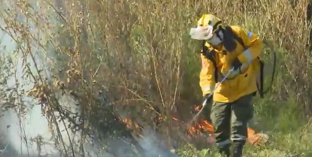 Incendios de pastizales en distintos puntos de la ciudad | Rosario y la región