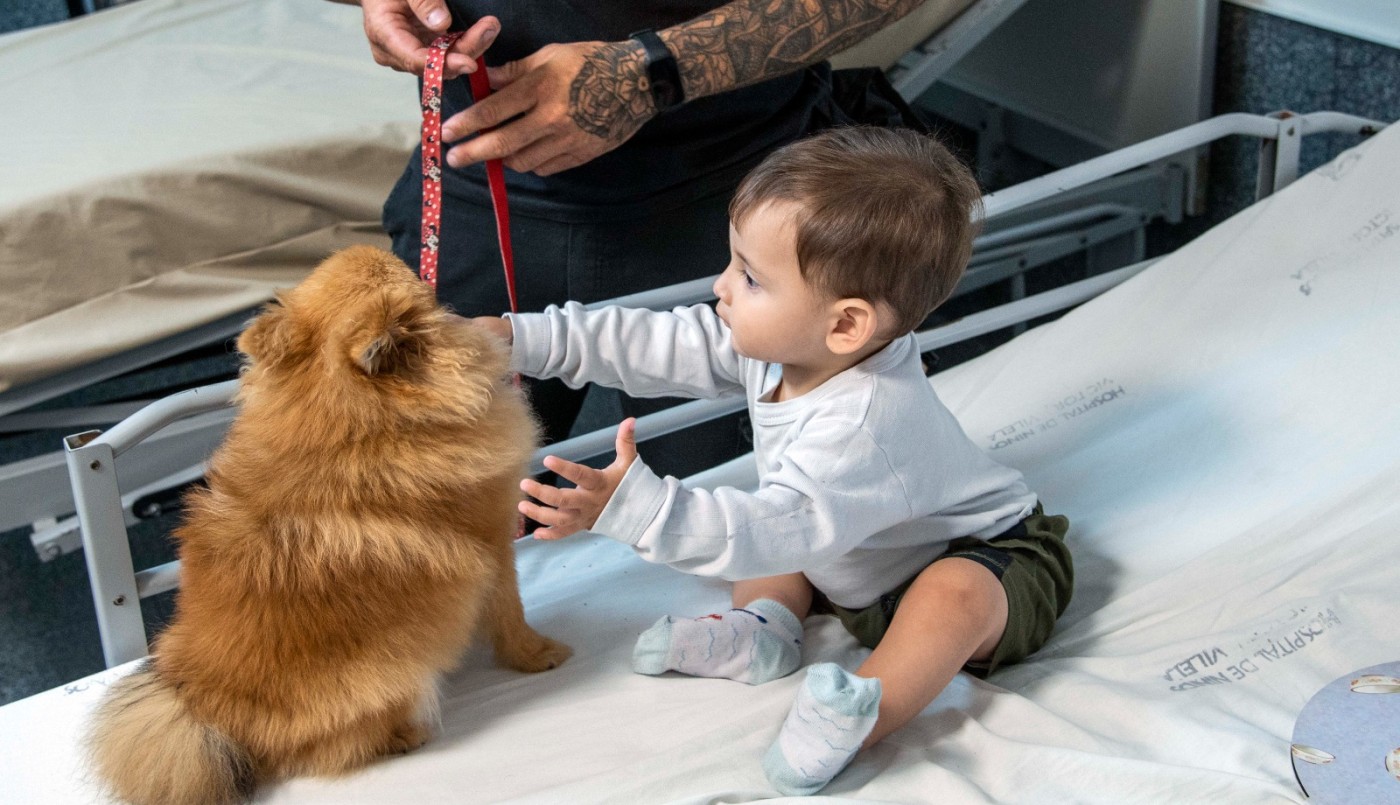 El hospital Vilela incorpora dos perras para acompañar a los niños internados | Rosario y la región