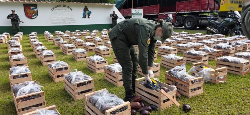 Gendarmería incautó más de 31 kilos de cocaína ocultos en cajones de berenjenas en Salta | Información General