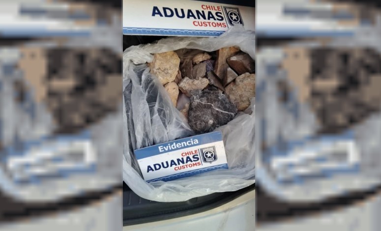 Detectaron 18 fósiles en el baúl de un auto que iba rumbo a Chile | Información General