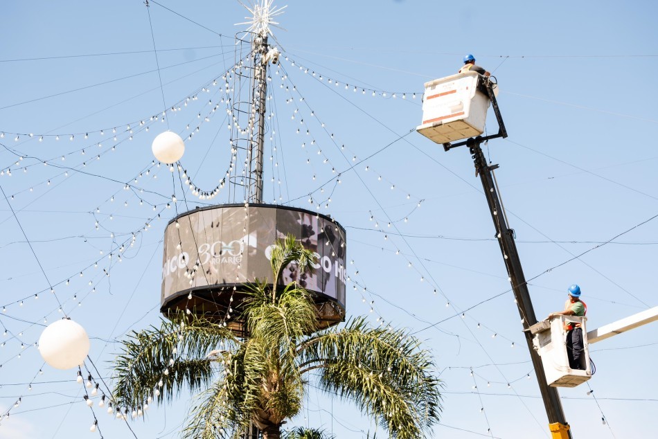 El arbolito de Oroño y Pellegrini se ilumina para celebrar una nueva Navidad rosarina | Rosario y la región