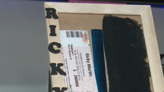 Ricky Martin en Rosario: hits y una toalla disputada