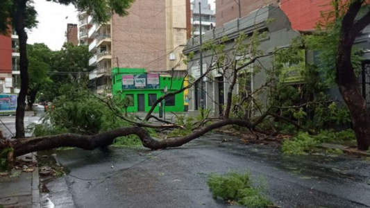 Árboles caídos, calles anegadas y columnas dañadas, por la lluvia y los vientos