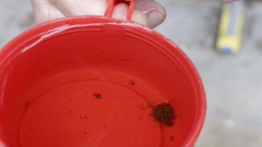 Llegó el "Día D": convocan a la primera jornada colectiva de descacharrado