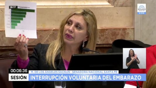 Sacnún: "La muerte por aborto clandestino es un femicidio por omisión del Estado"