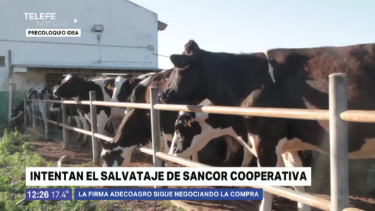 SanCor: intentan el salvataje de la cooperativa