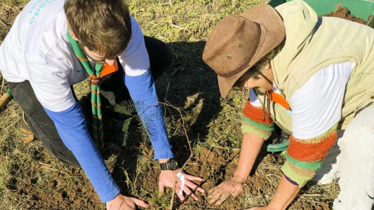 Rosario festeja la Semana del Árbol con múltiples actividades