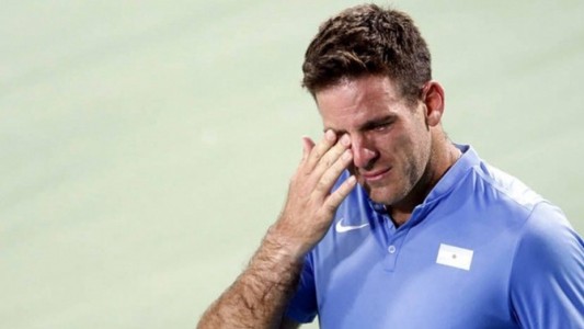 Del Potro, tras eliminar a Djokovic: "Sentí que volví a jugar al tenis"